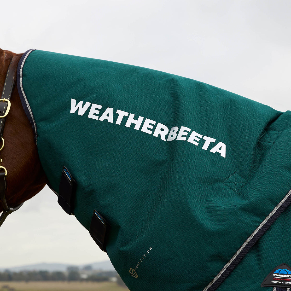 Weatherbeeta Comfitec Plus Dynamic Turnout Detach-A-Neck 360g