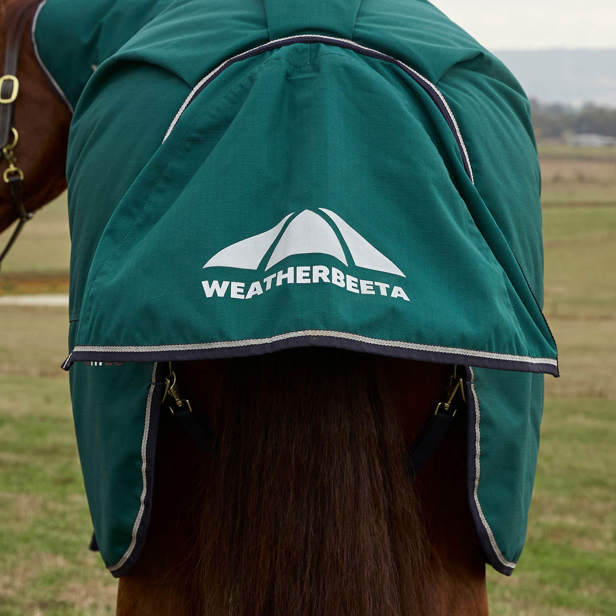 Weatherbeeta Comfitec Plus Dynamic Turnout Detach-A-Neck 360g