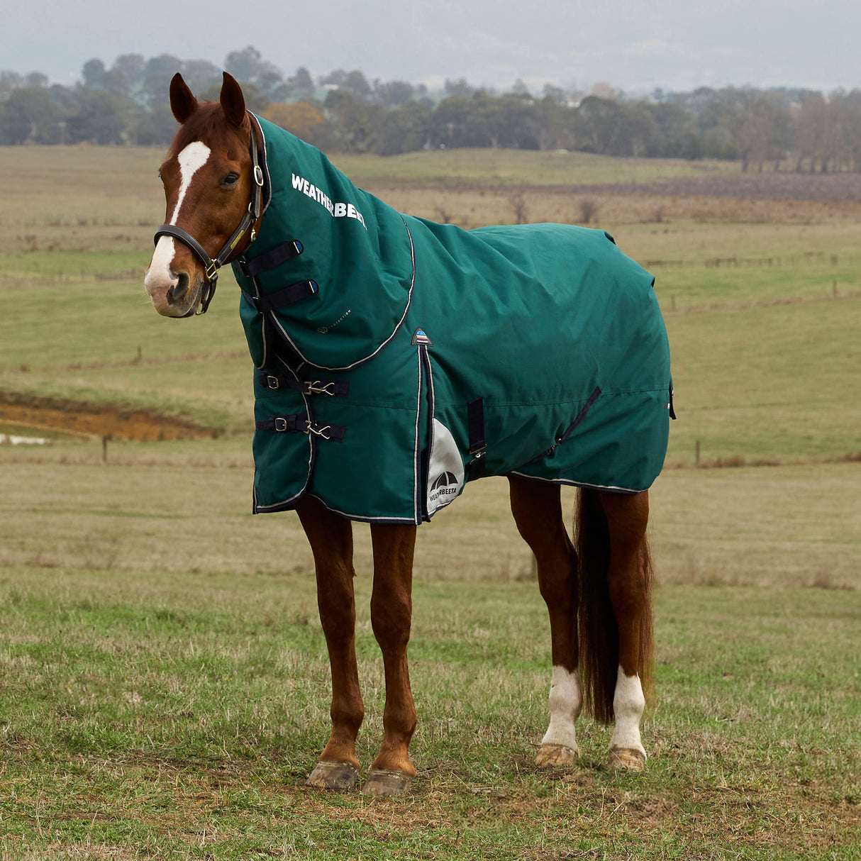 Weatherbeeta Comfitec Plus Dynamic Turnout Detach-A-Neck 360g