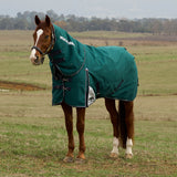 Weatherbeeta Comfitec Plus Dynamic Turnout Detach-A-Neck 360g