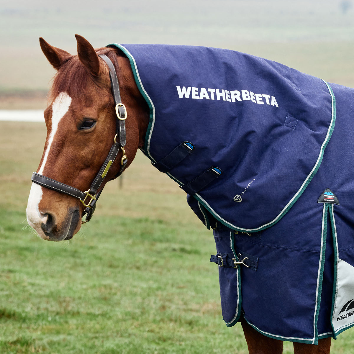 Weatherbeeta Comfitec Plus Dynamic Turnout Detach-A-Neck 360g
