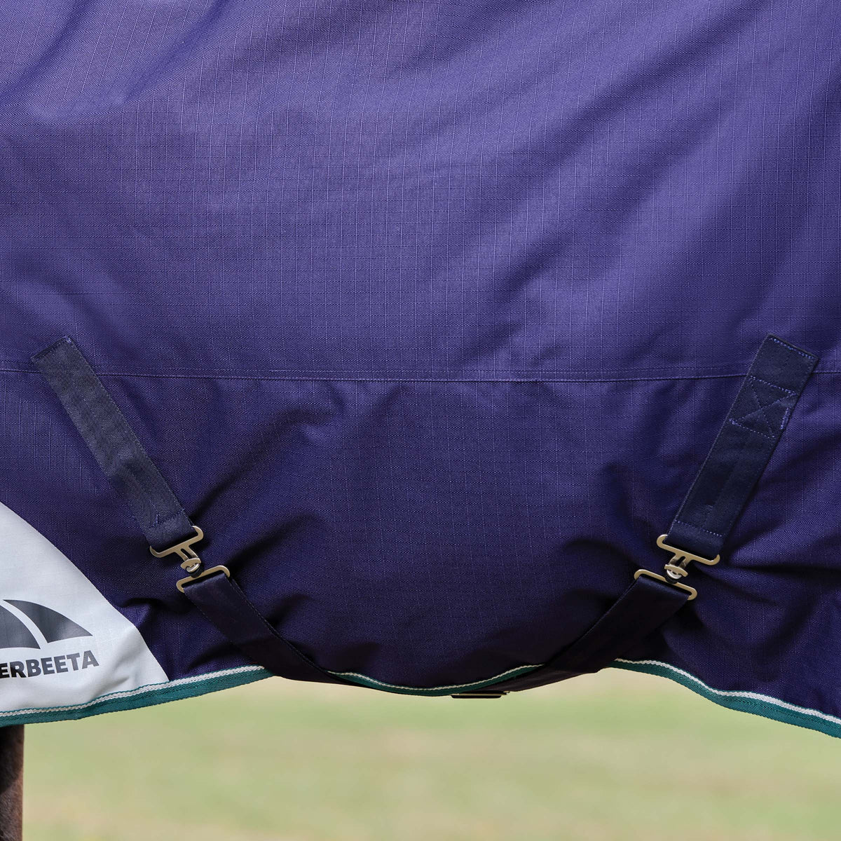 Weatherbeeta Comfitec Plus Dynamic Turnout Detach-A-Neck 360g