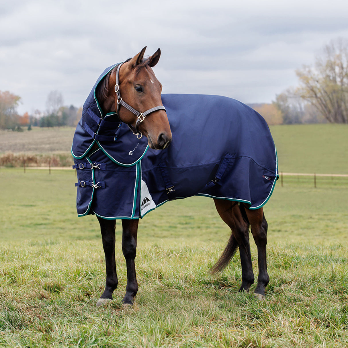 Weatherbeeta Comfitec Plus Dynamic Turnout Detach-A-Neck 360g