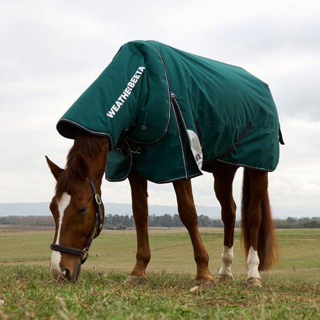 Weatherbeeta Comfitec Plus Dynamic 100G Detach-A-Neck Turnout #colour_forest-green-navy
