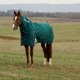 Weatherbeeta Comfitec Plus Dynamic 0G Detach-A-Neck Turnout #colour_forest-green-navy