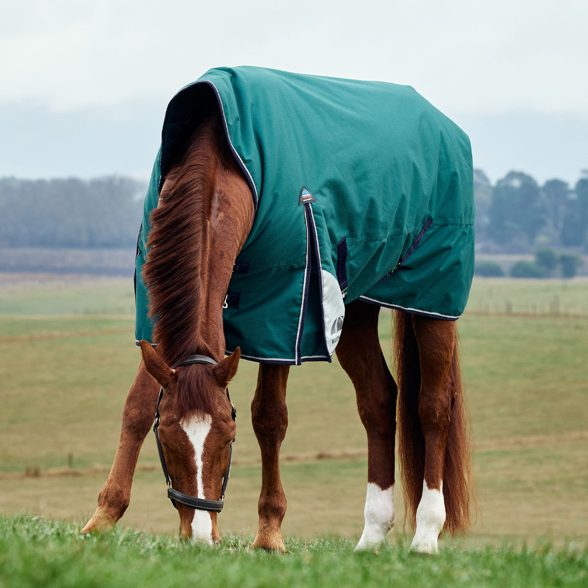 Weatherbeeta Comfitec Plus Dynamic Turnout High Neck 0g