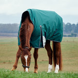 Weatherbeeta Comfitec Plus Dynamic Turnout High Neck 0g