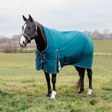 Weatherbeeta Comfitec Plus Dynamic Turnout High Neck 0g