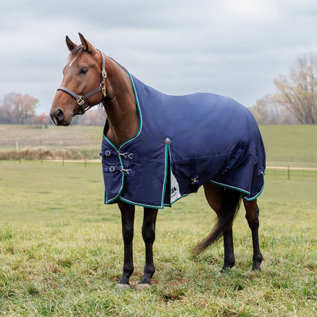 Weatherbeeta Comfitec Plus Dynamic Turnout High Neck 0g