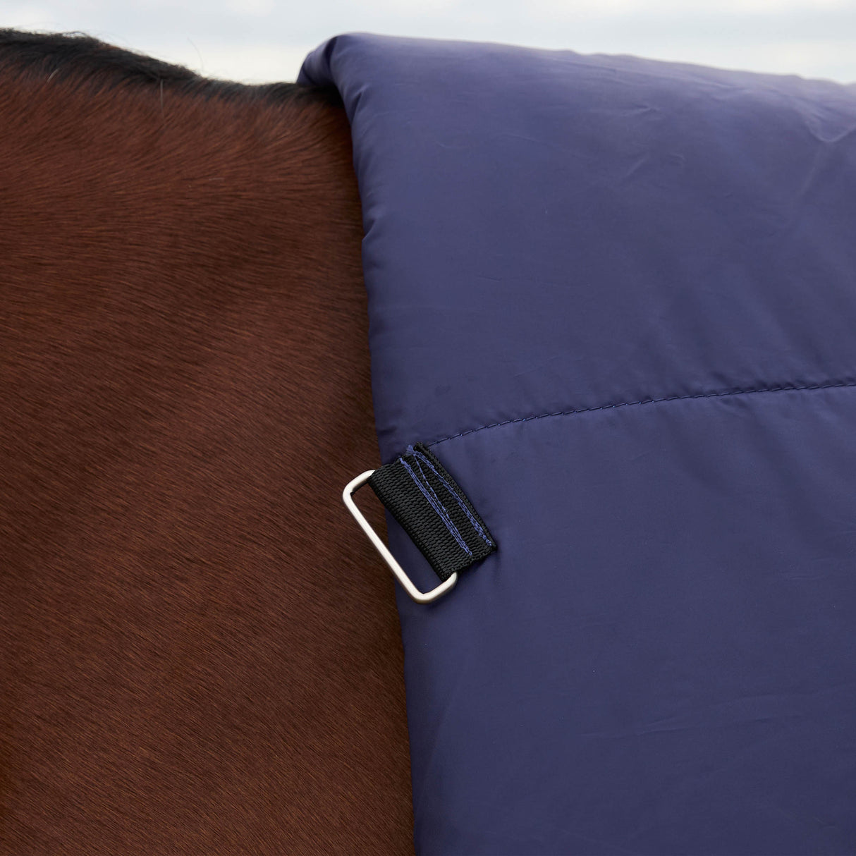 Weatherbeeta Comfitec Plus Dynamic Turnout High Neck 0g