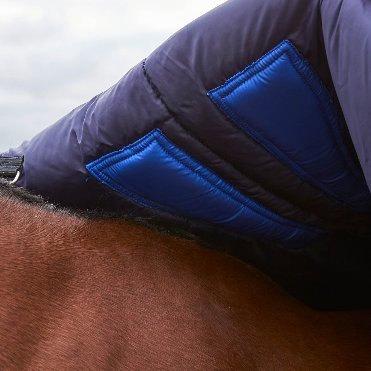 Weatherbeeta Comfitec Plus Dynamic Turnout High Neck 0g