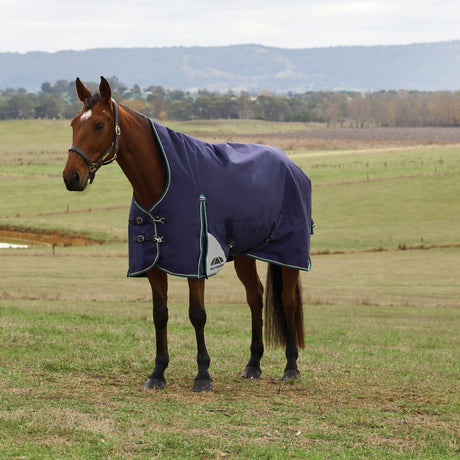 Weatherbeeta Comfitec Plus Dynamic 100G High Neck Turnout #colour_navy-forest-green
