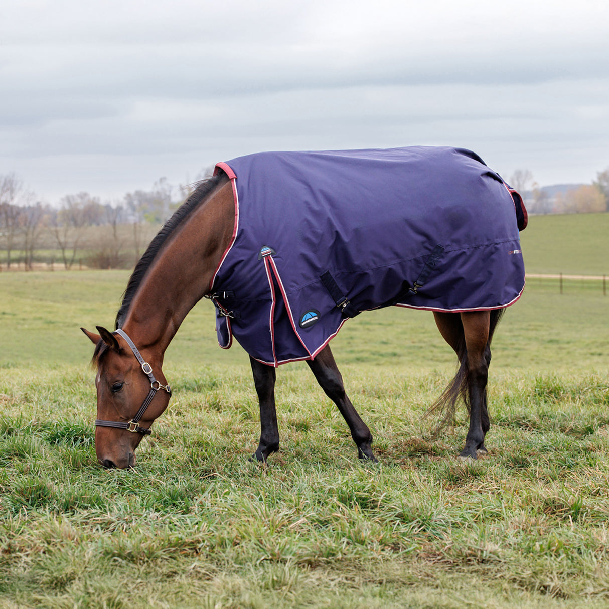 Weatherbeeta Comfitec Essential Standard Turnout 360g