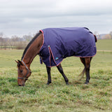 Weatherbeeta Comfitec Essential Standard Turnout 360g