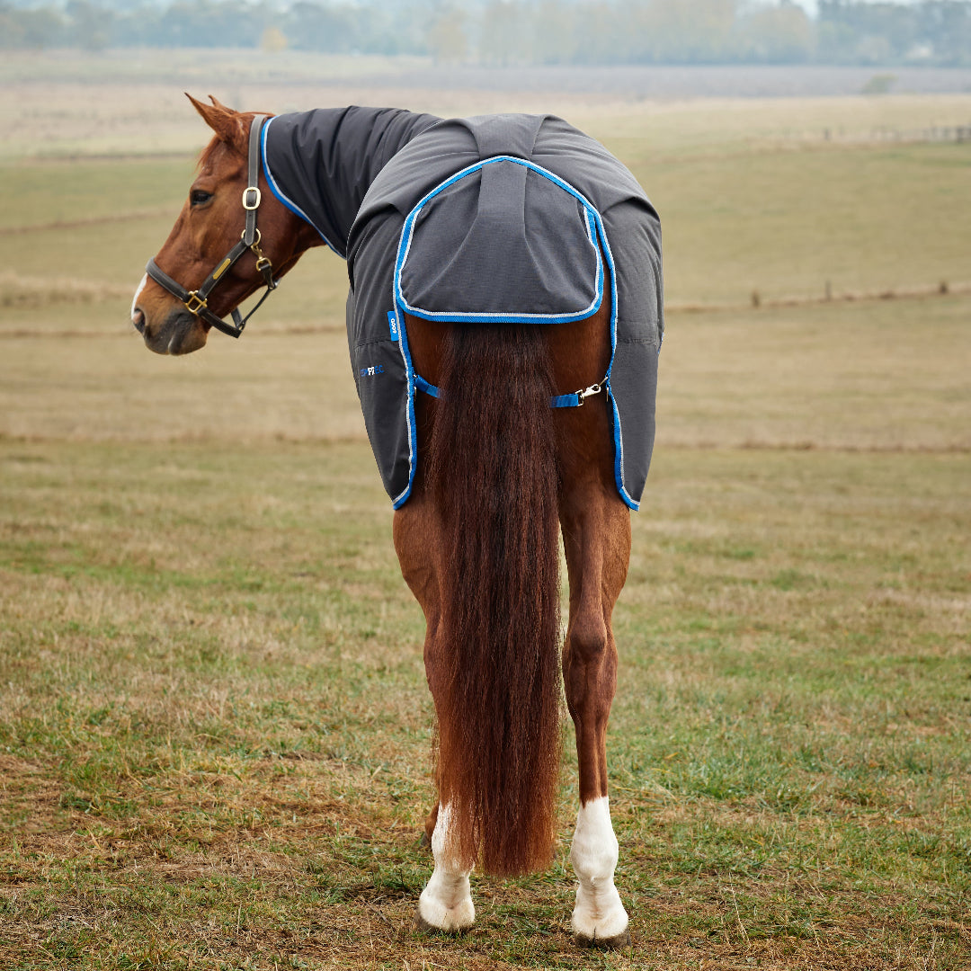 Weatherbeeta Comfitec Tyr Combo Neck Turnout #colour_black-cobalt