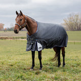 Weatherbeeta Comfitec Ultra Turnout Standard Neck 220g