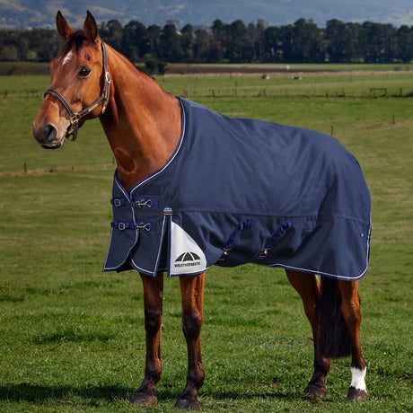 Weatherbeeta Comfitec Ultra Turnout Standard Neck 220g