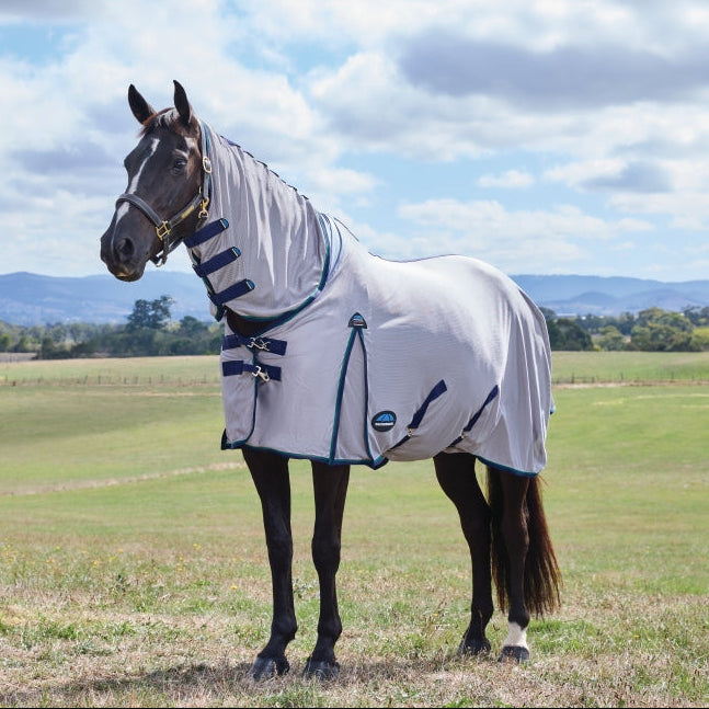 Weatherbeeta Comfitec Zephyr Fly Sheet Combo