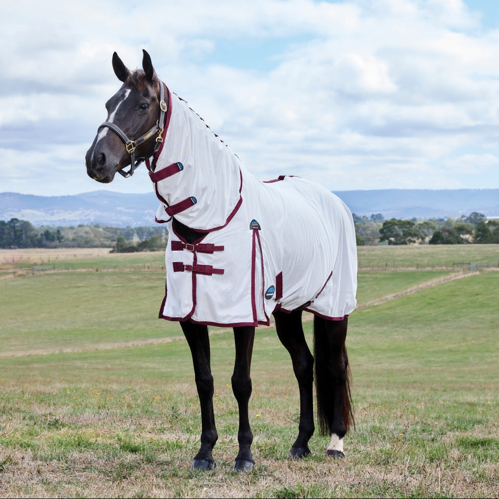 Weatherbeeta Comfitec Essential Fly Sheet Combo