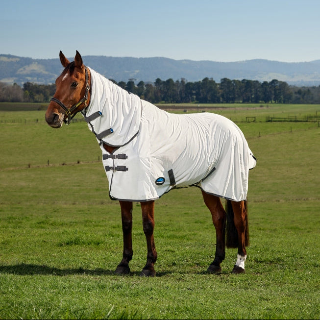 Weatherbeeta Comfitec Tyro Fly Sheet Combo