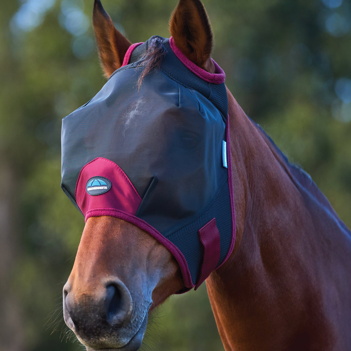 Weatherbeeta Comfitec Fine Mesh Fly Mask #colour_black-burgundy