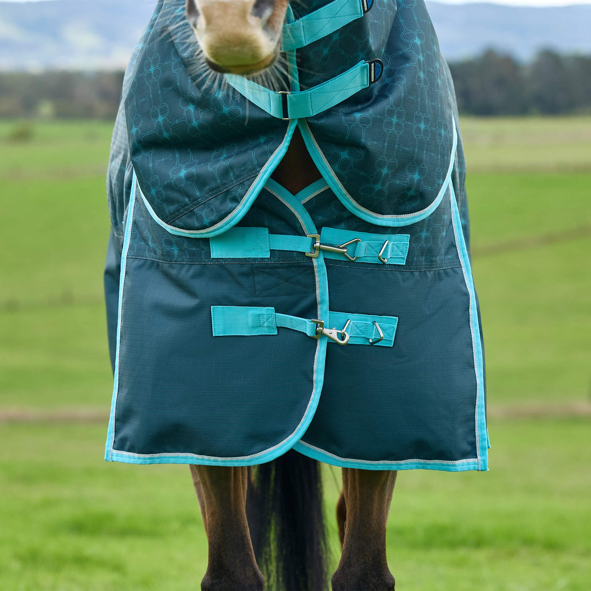 Weatherbeeta Comfitec Limited Edition Turnout Detach-A-Neck 220g