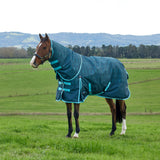 Weatherbeeta Comfitec Limited Edition Turnout Detach-A-Neck 220g