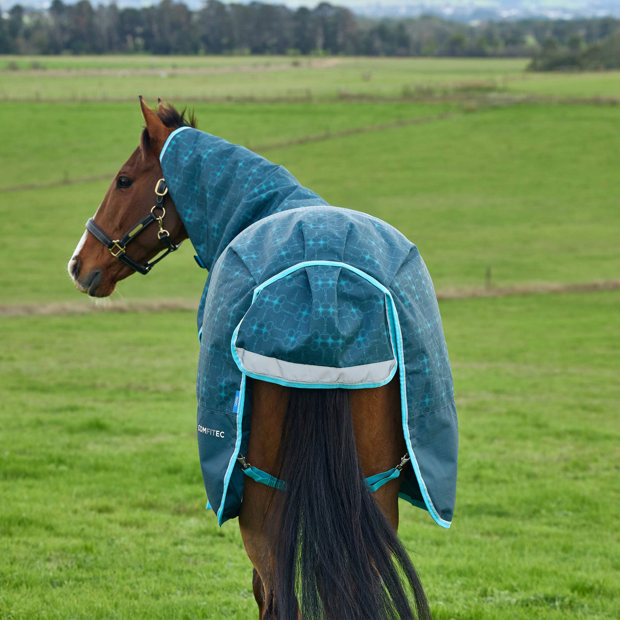 Weatherbeeta Comfitec Limited Edition Turnout Detach-A-Neck 220g
