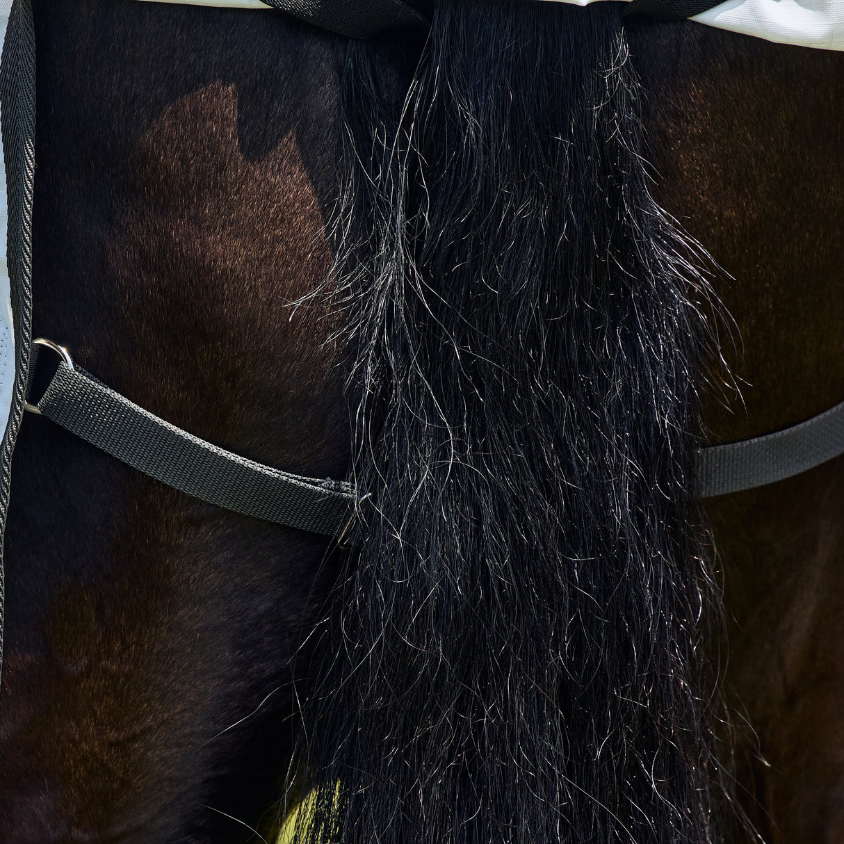 Weatherbeeta Sweet Itch Shield Combo Neck #colour_white-charcoal