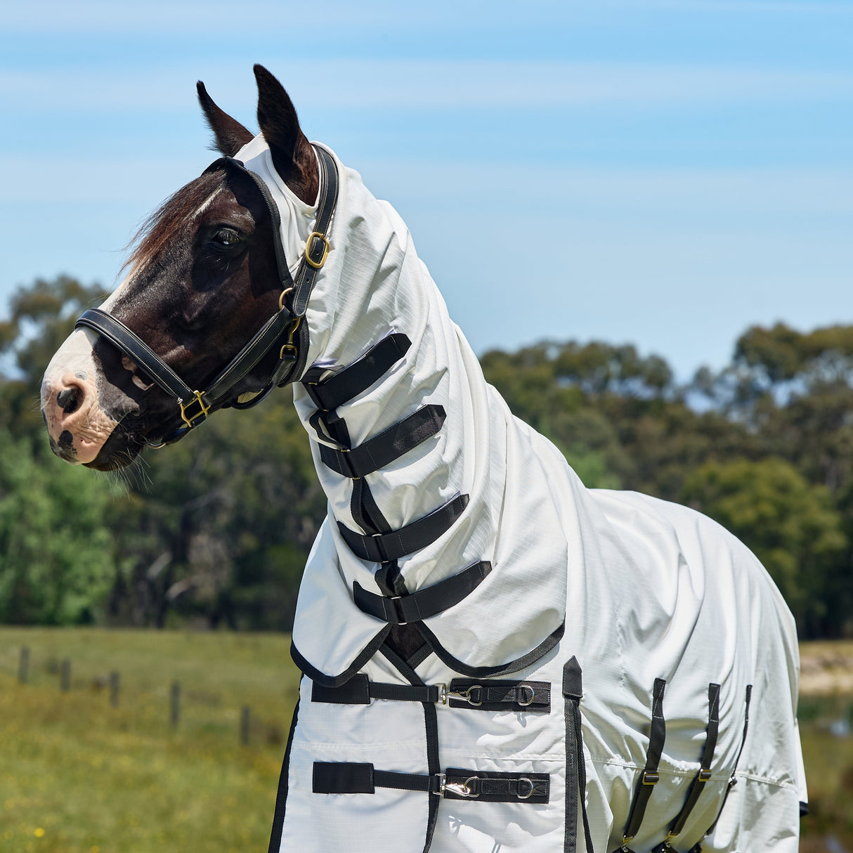 Weatherbeeta Sweet Itch Shield Combo Neck #colour_white-charcoal