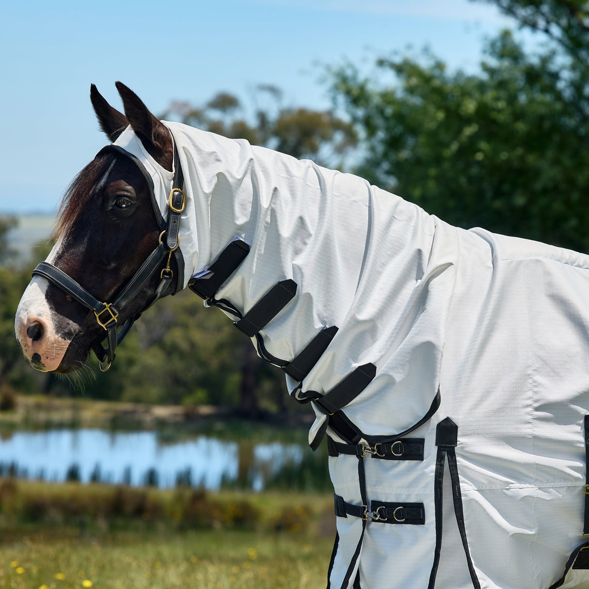 Weatherbeeta Sweet Itch Shield Combo Neck #colour_white-charcoal