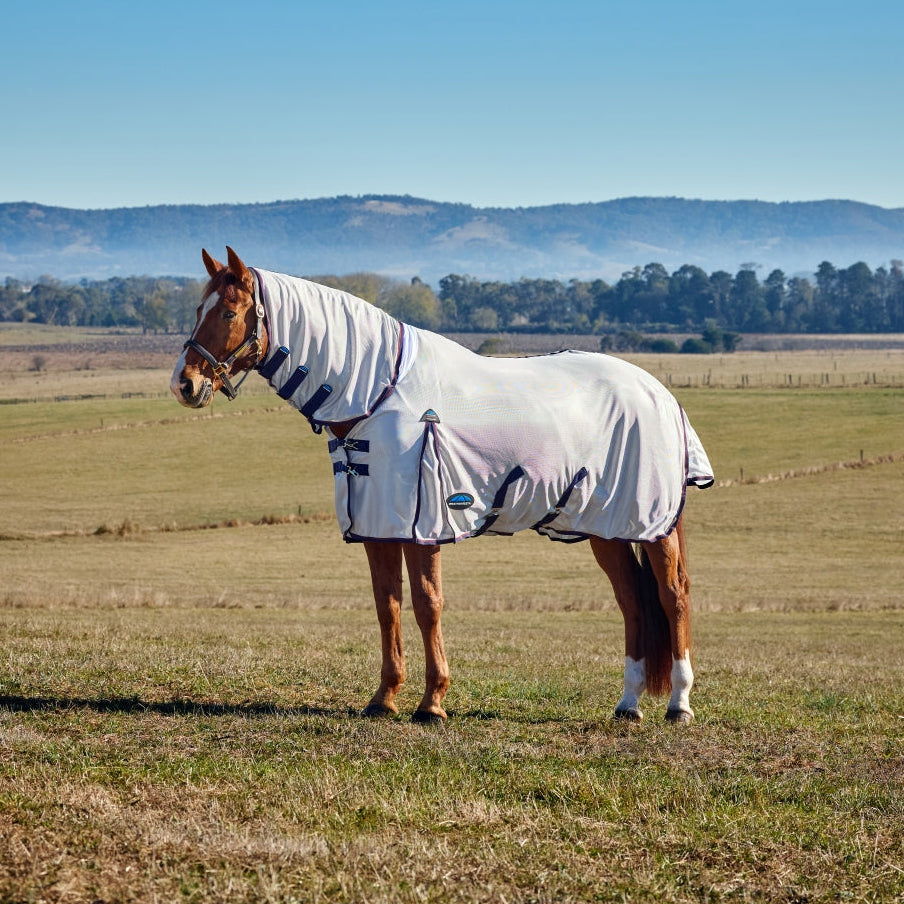Weatherbeeta Comfitec Airflow Fly Sheet Combo