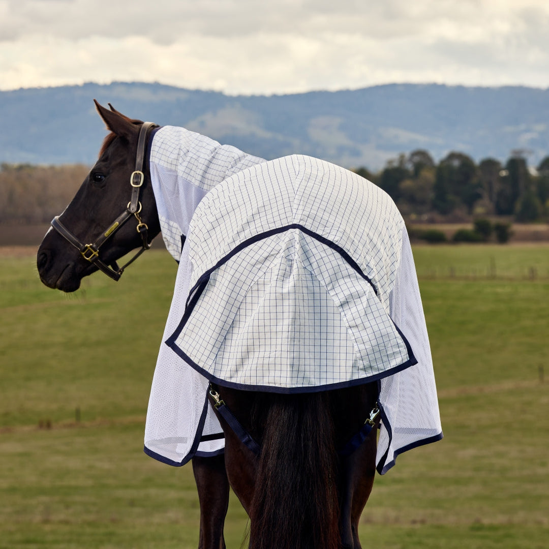 Weatherbeeta Airstream Combo