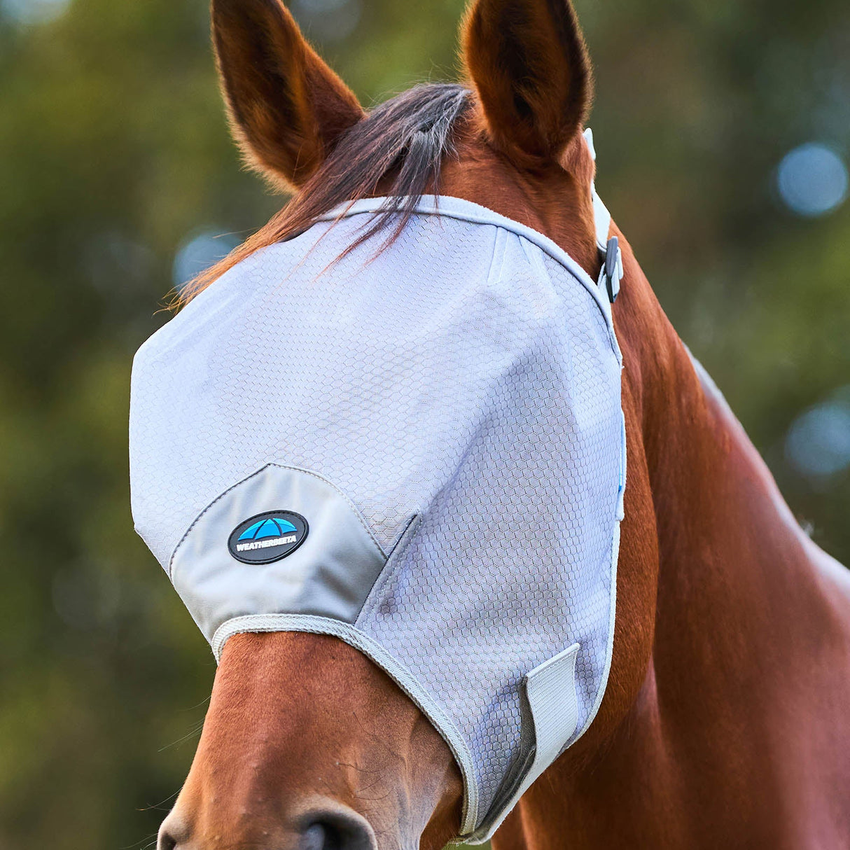 Weatherbeeta Comfitec Hexi Shield Duo Fly Mask