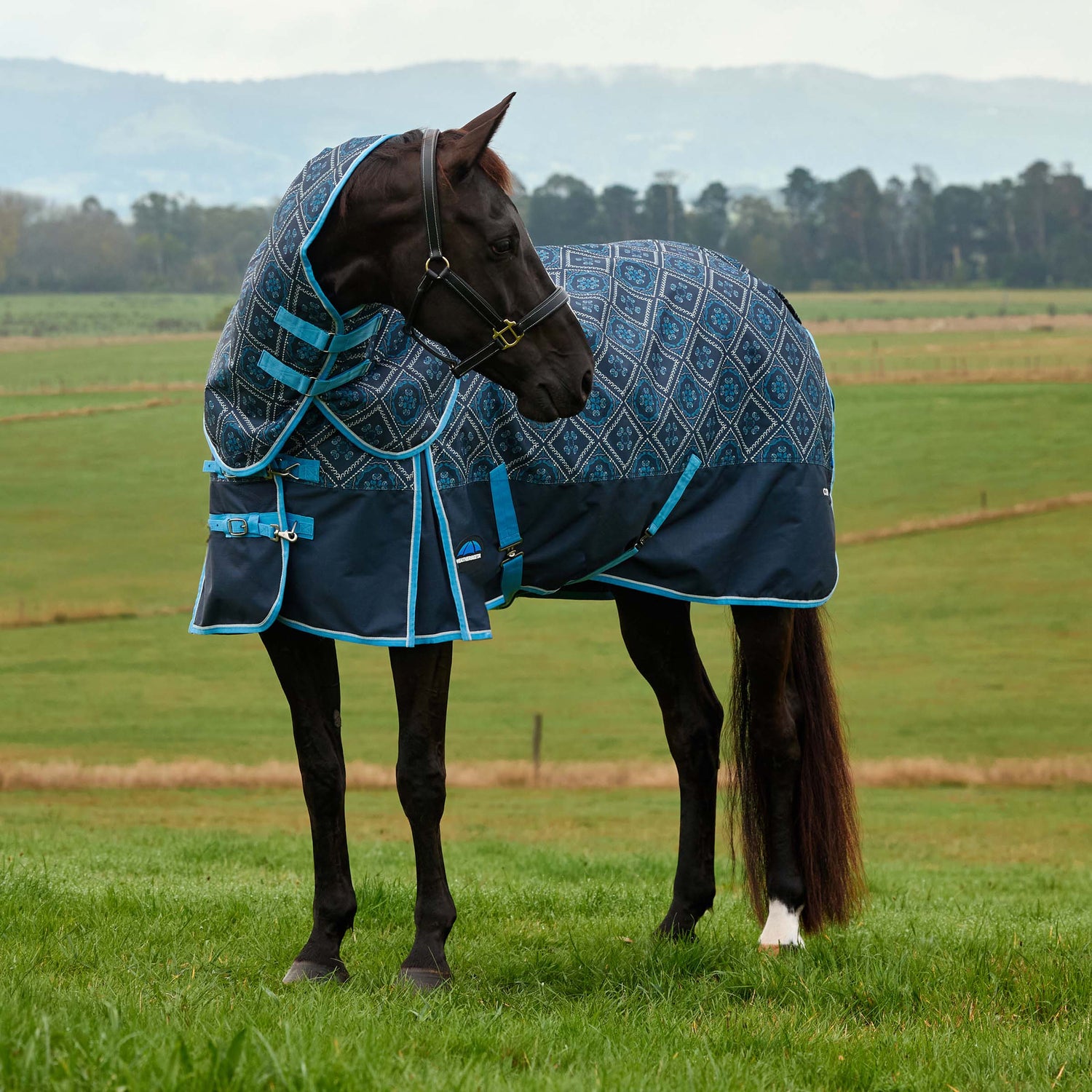 Weatherbeeta Comfitec Heritage Turnout Detach-A-Neck 220g