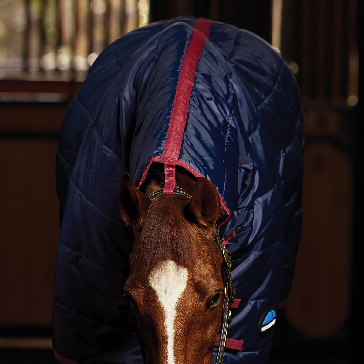 Weatherbeeta Stable Rug Combo 220g