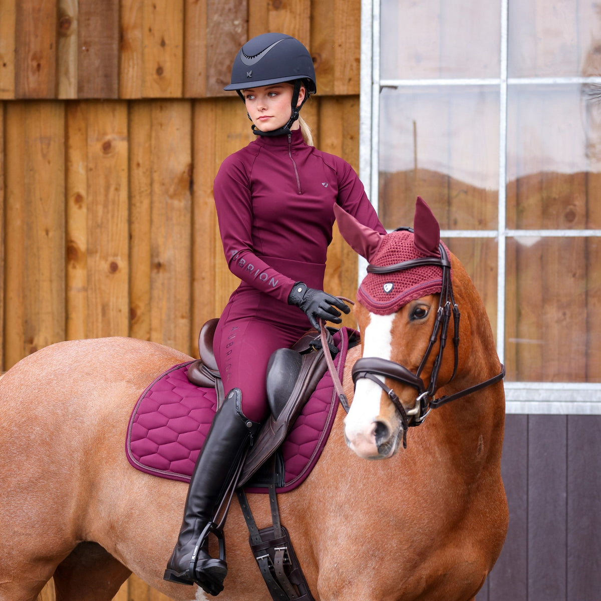 Shires Aubrion Eltar Riding Tights
