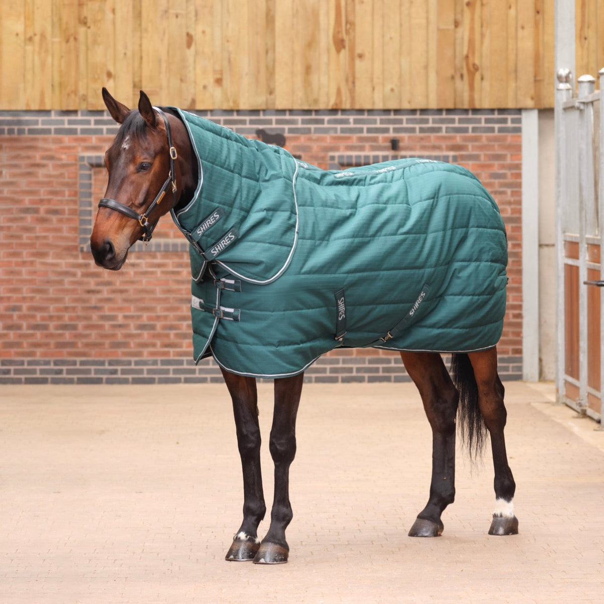 Shires Tempest Original 200 Stable Rug & Neck Set