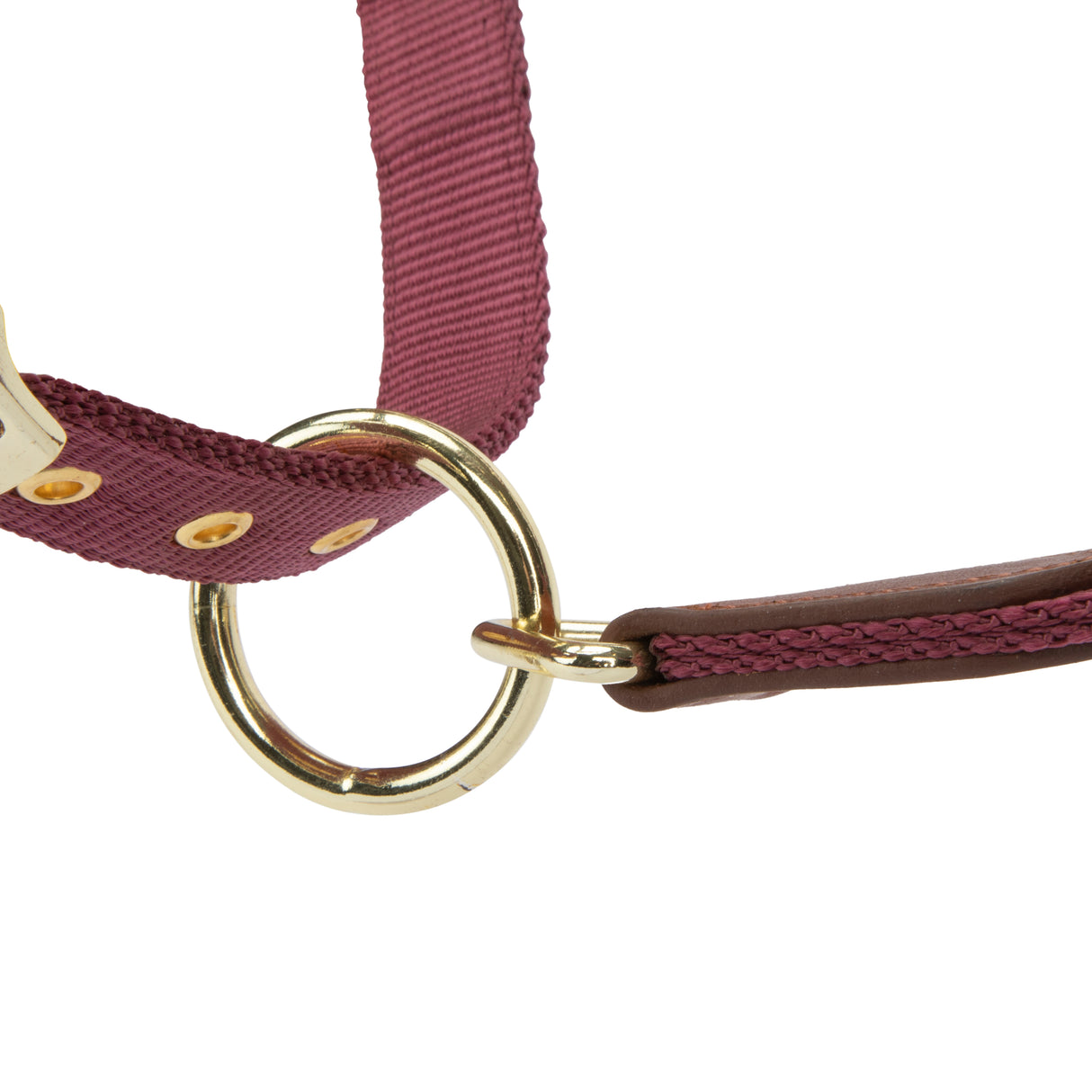 Shires ARMA Porto Headcollar #colour_black-cherry