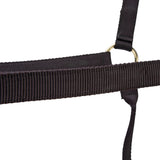 Shires ARMA Premium Adjustable Headcollar