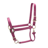 Shires ARMA Premium Adjustable Headcollar #colour_burgundy