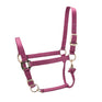 Shires ARMA Premium Adjustable Headcollar #colour_burgundy