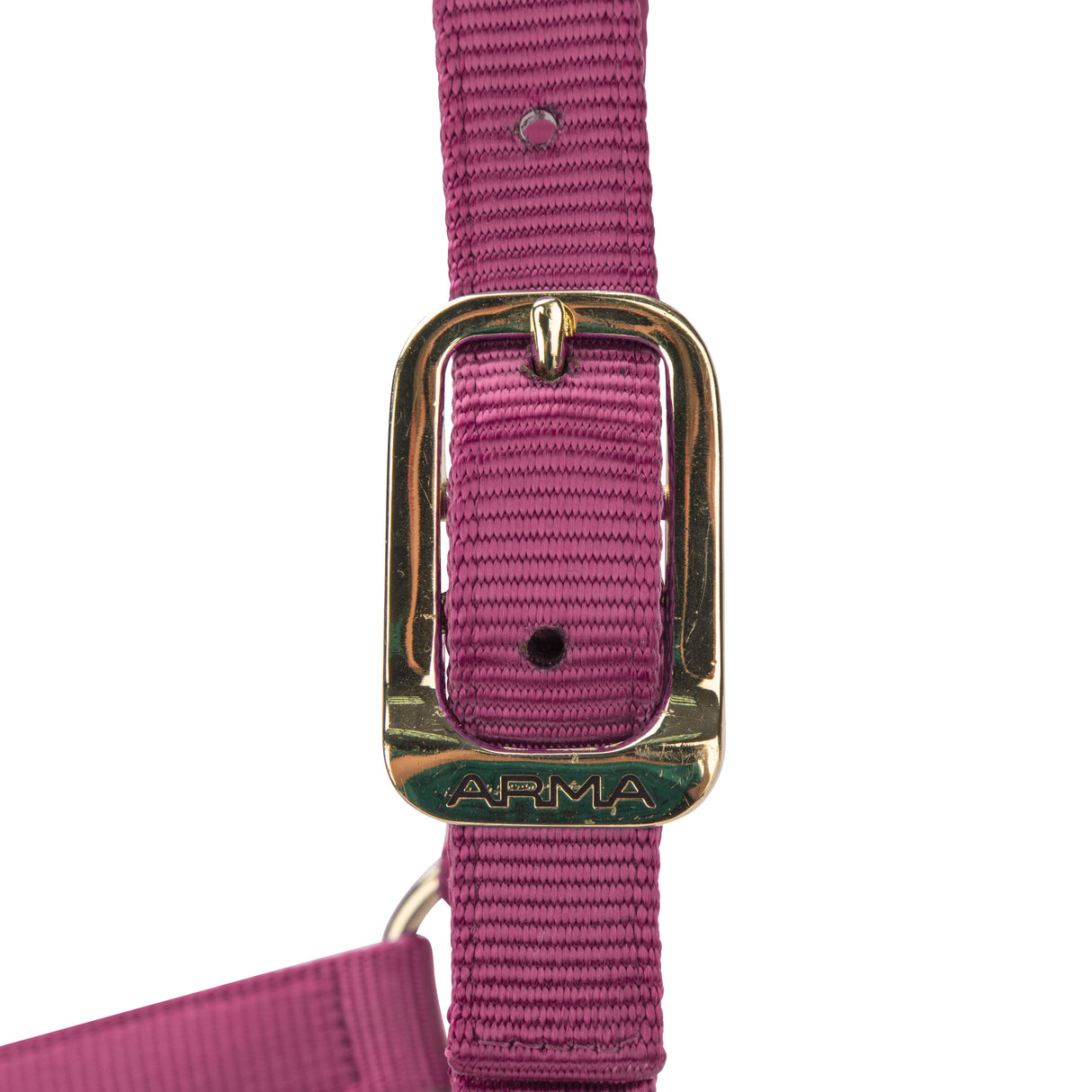 Shires ARMA Premium Adjustable Headcollar #colour_burgundy