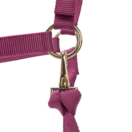 Shires ARMA Premium Adjustable Headcollar #colour_burgundy