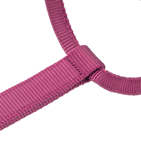 Shires ARMA Premium Adjustable Headcollar #colour_burgundy