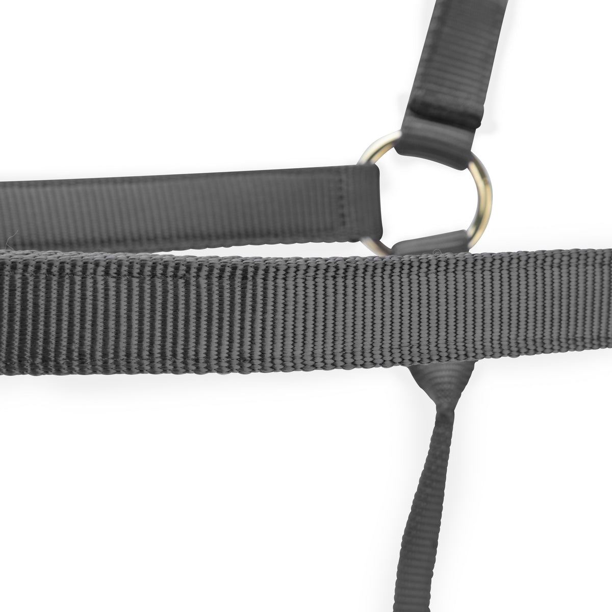 Shires ARMA Premium Adjustable Headcollar