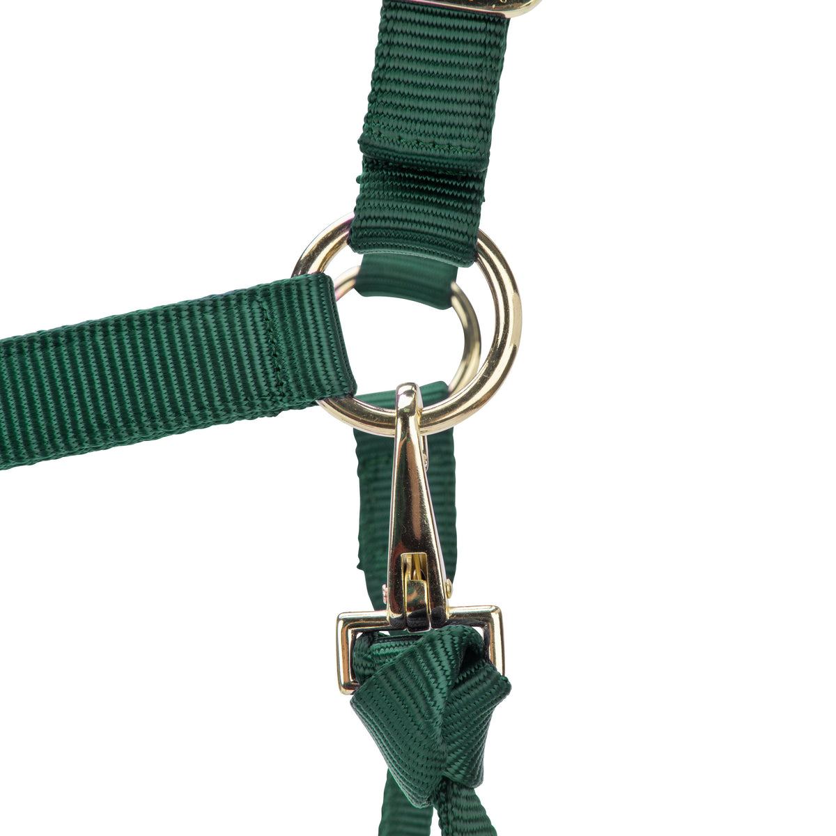 Shires ARMA Premium Adjustable Headcollar