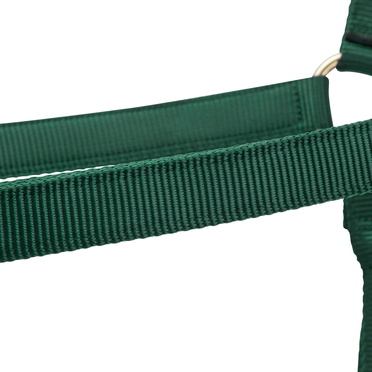 Shires ARMA Premium Adjustable Headcollar