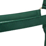 Shires ARMA Premium Adjustable Headcollar