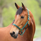 Shires ARMA Premium Adjustable Headcollar